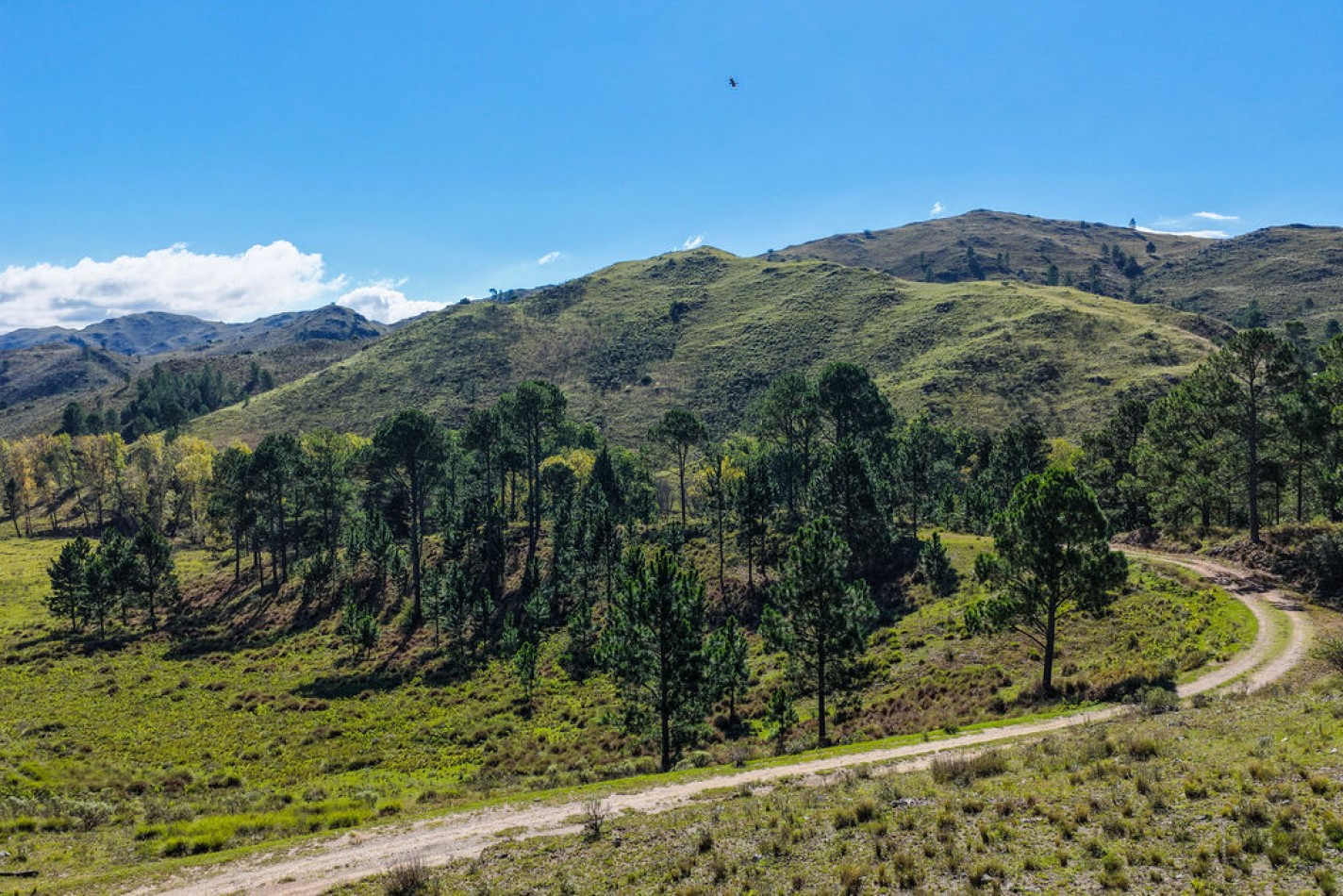 POTRERO DE GARAY- CHACRA