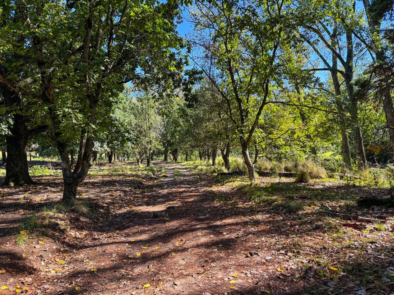 POTRERO DE GARAY- CHACRA