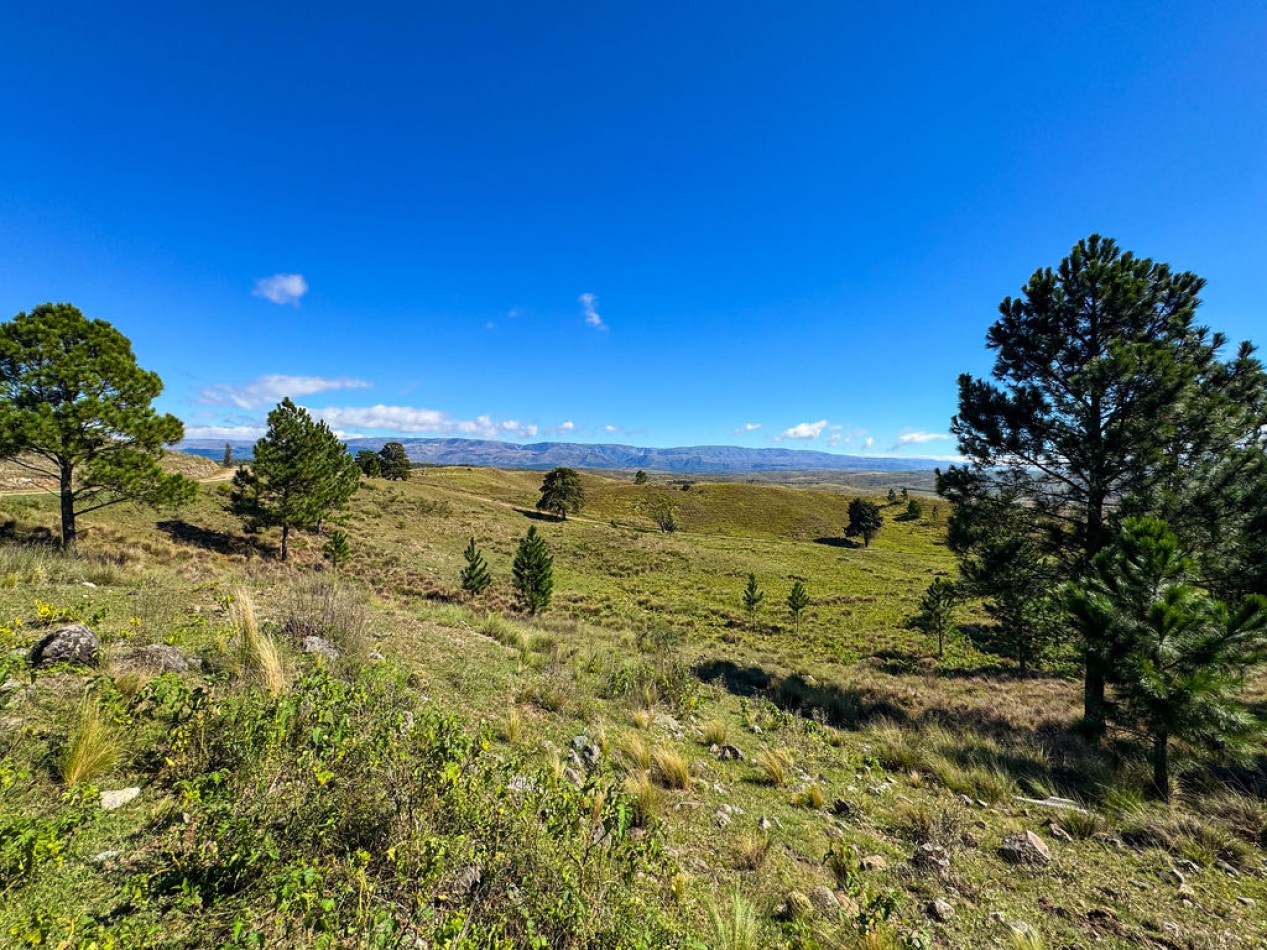 POTRERO DE GARAY- CHACRA