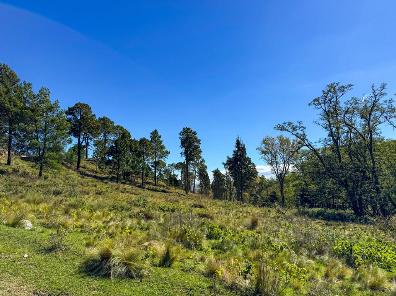 POTRERO DE GARAY- CHACRA