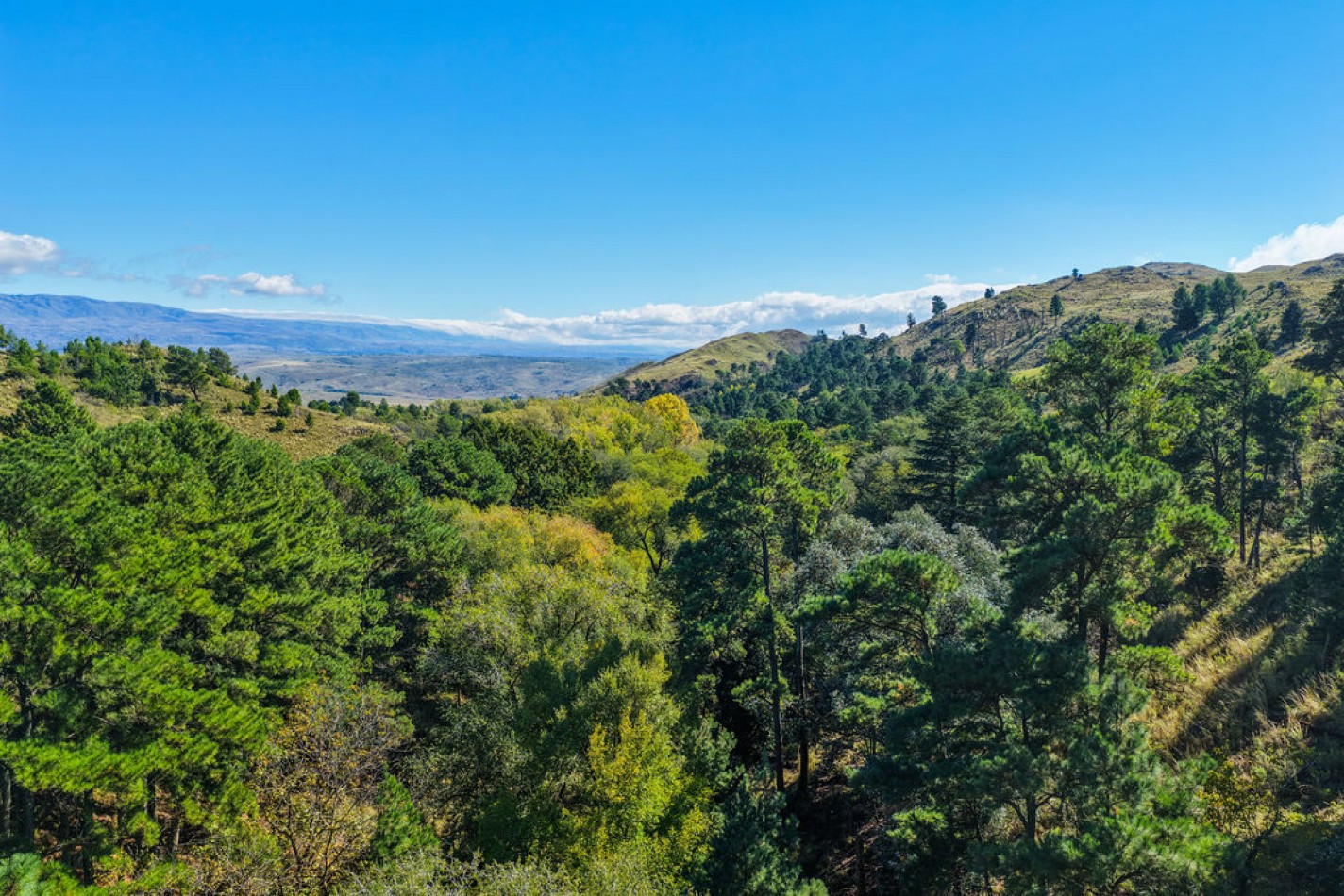 POTRERO DE GARAY- CHACRA