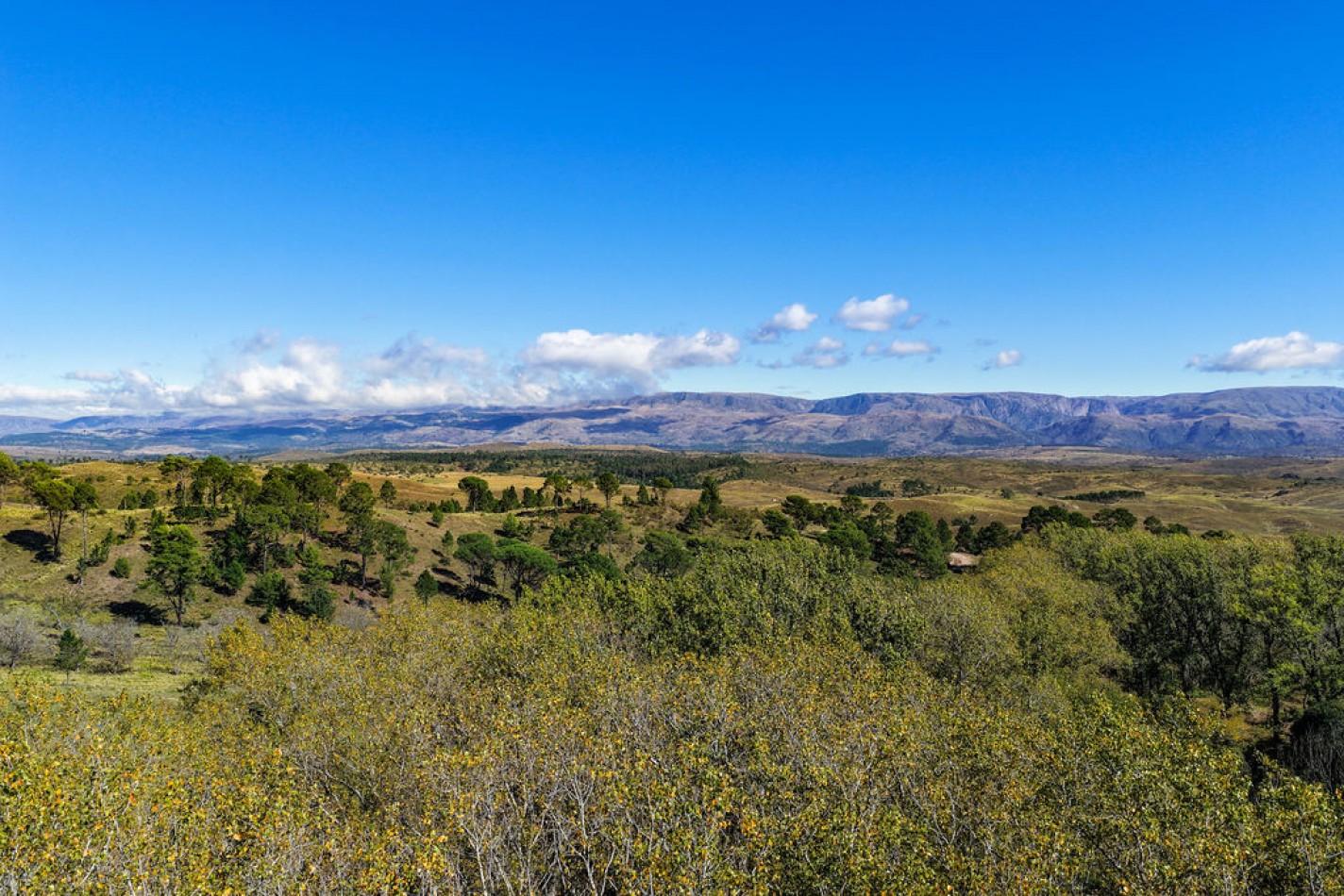 POTRERO DE GARAY- CHACRA