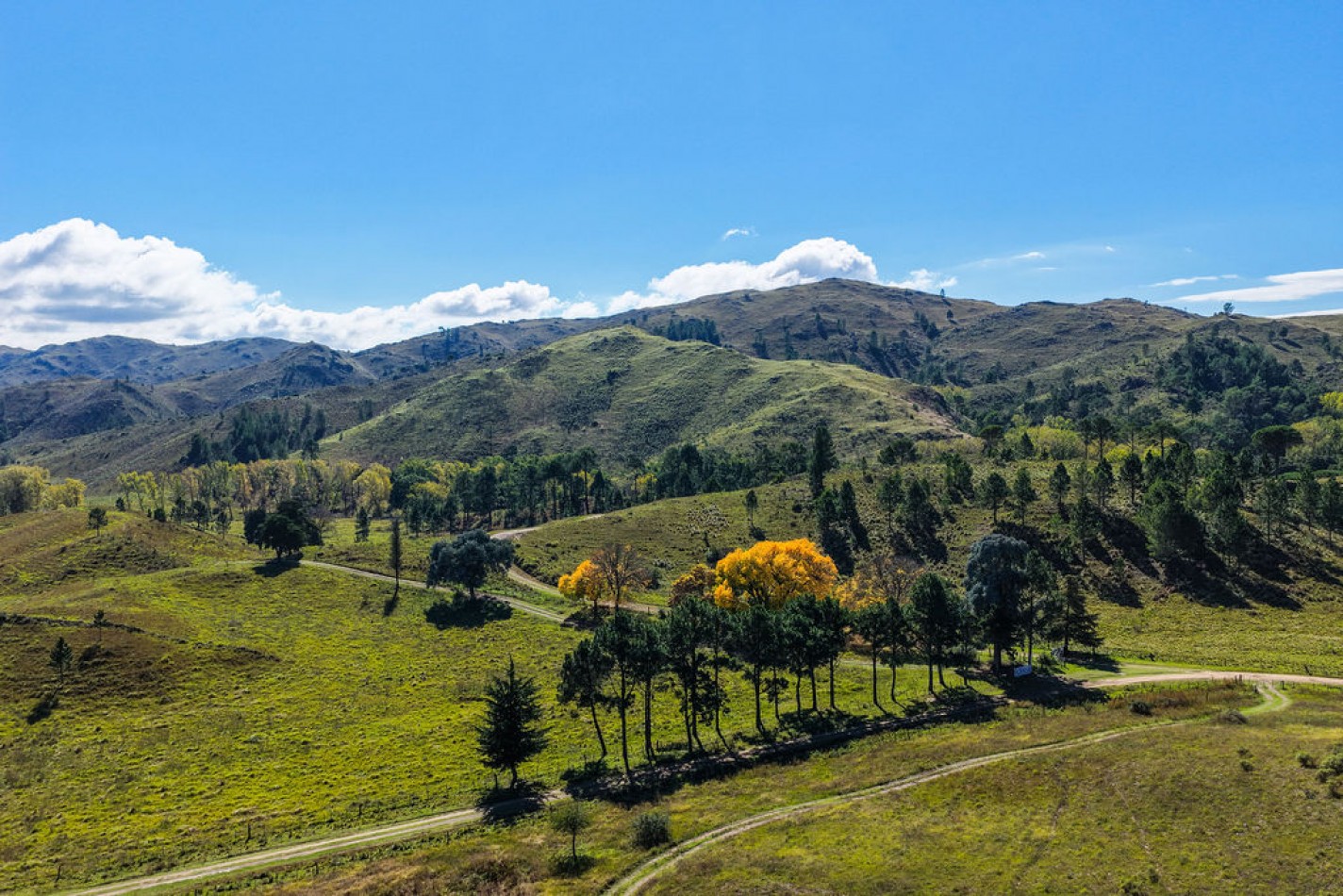 POTRERO DE GARAY- CHACRA