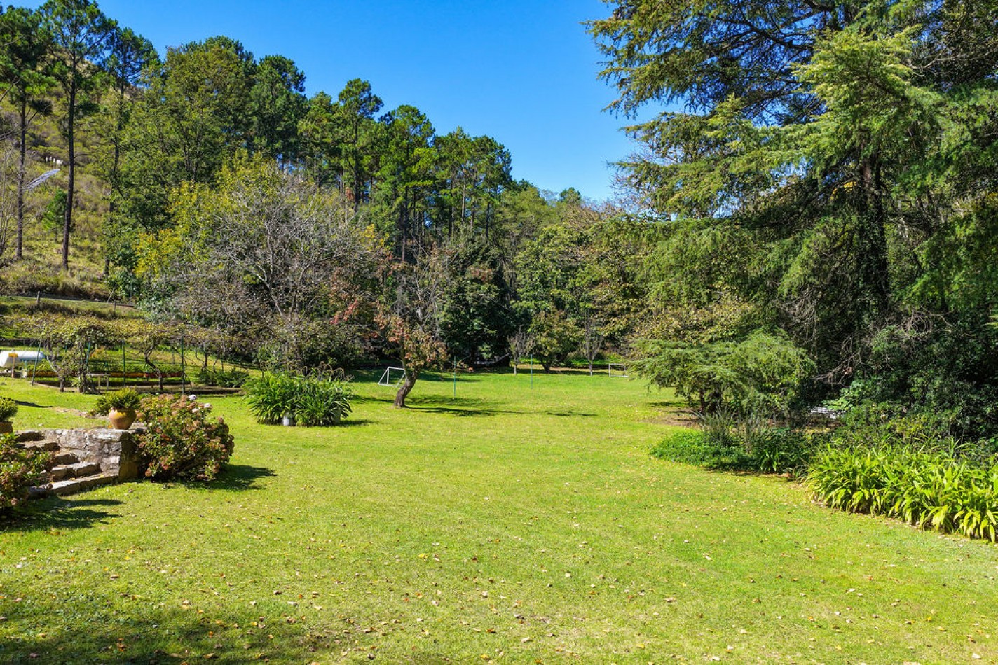 POTRERO DE GARAY- CHACRA