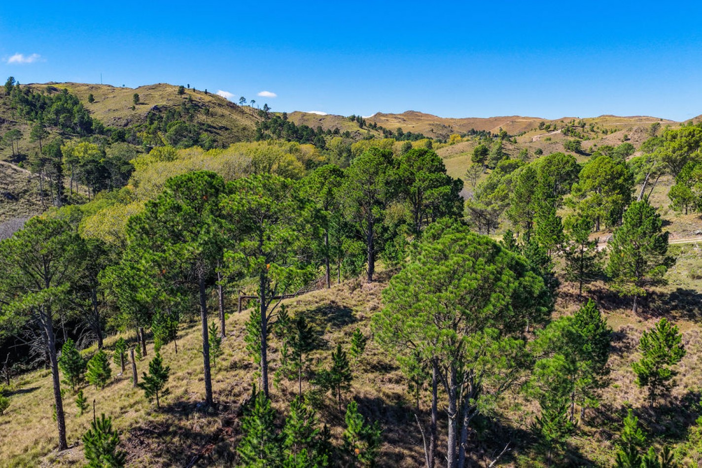 POTRERO DE GARAY- CHACRA