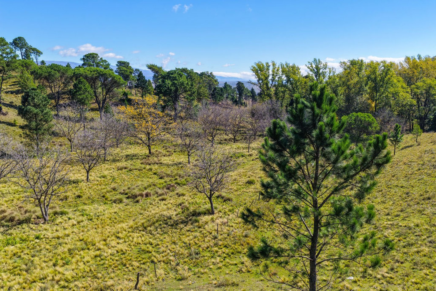 POTRERO DE GARAY- CHACRA