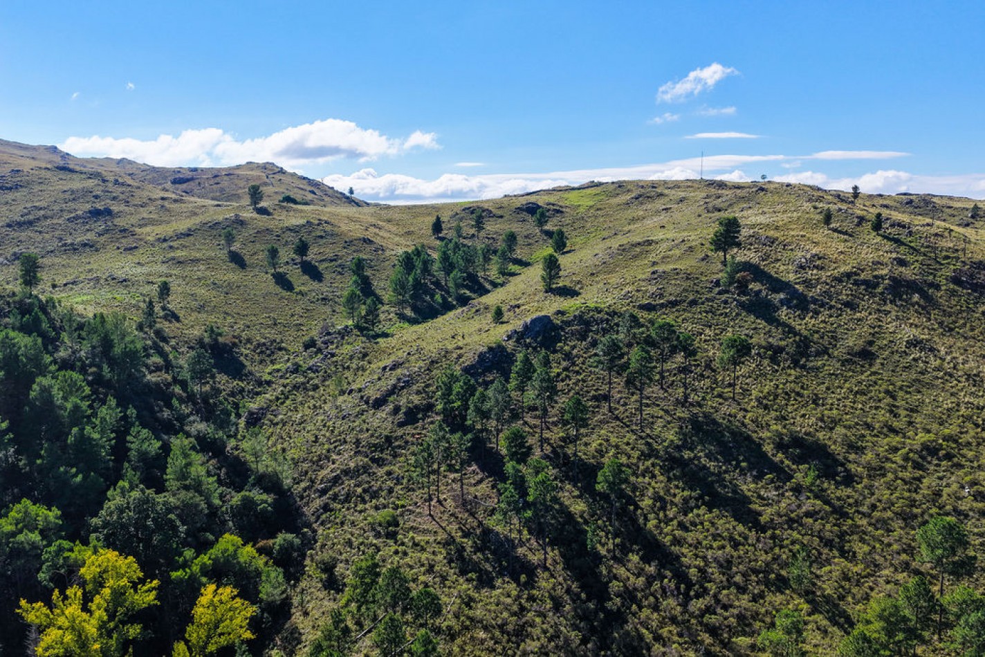 POTRERO DE GARAY- CHACRA