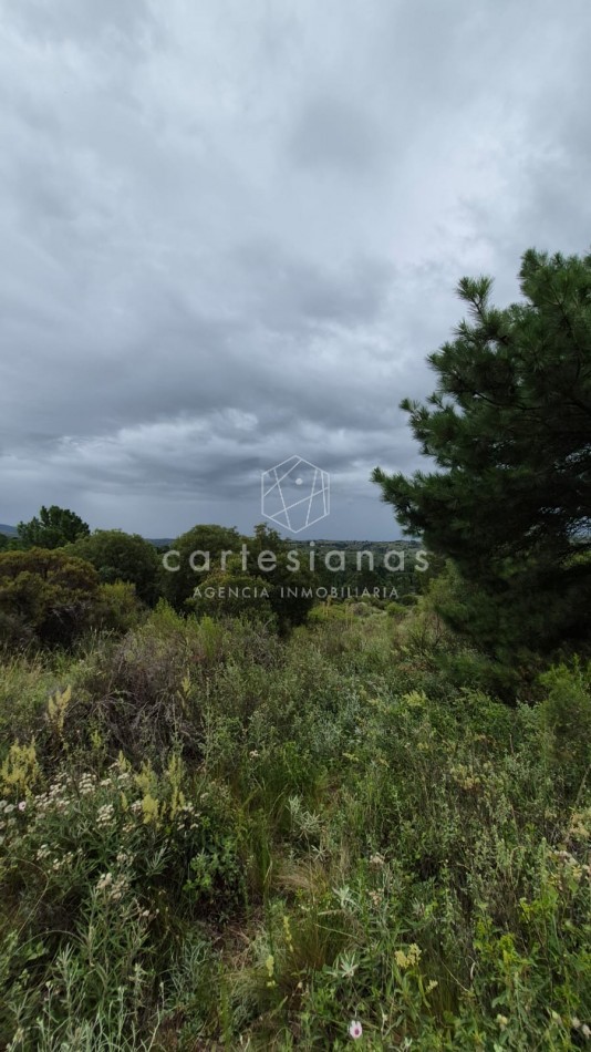 SAN CLEMENTE 9 HECTAREAS C/ SERVICIOS EN VENTA | CORDOBA