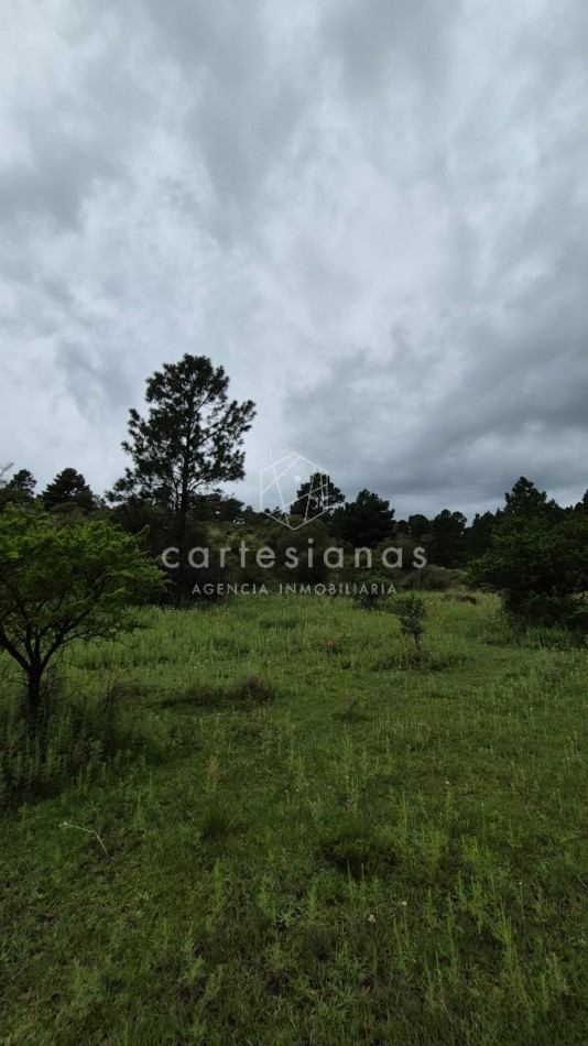 SAN CLEMENTE 9 HECTAREAS C/ SERVICIOS EN VENTA | CORDOBA