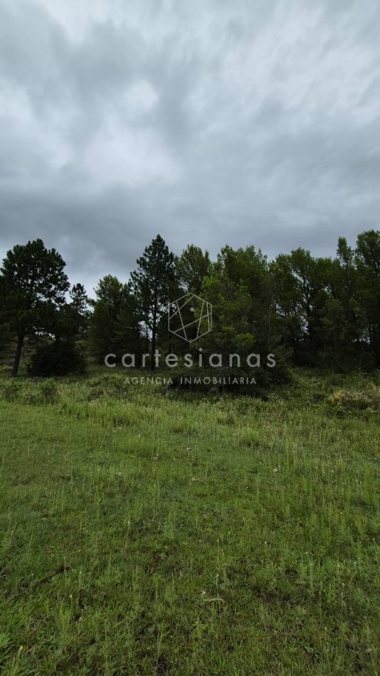 SAN CLEMENTE 9 HECTAREAS C/ SERVICIOS EN VENTA | CORDOBA