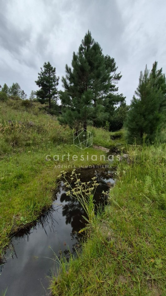 SAN CLEMENTE 9 HECTAREAS C/ SERVICIOS EN VENTA | CORDOBA