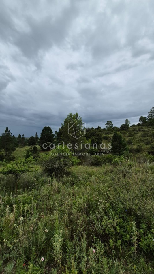 SAN CLEMENTE 9 HECTAREAS C/ SERVICIOS EN VENTA | CORDOBA