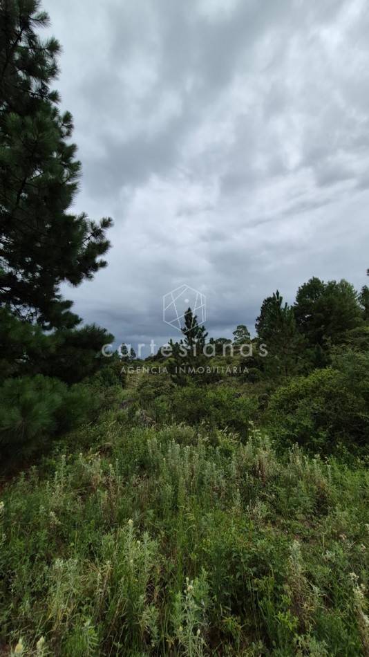 SAN CLEMENTE 9 HECTAREAS C/ SERVICIOS EN VENTA | CORDOBA