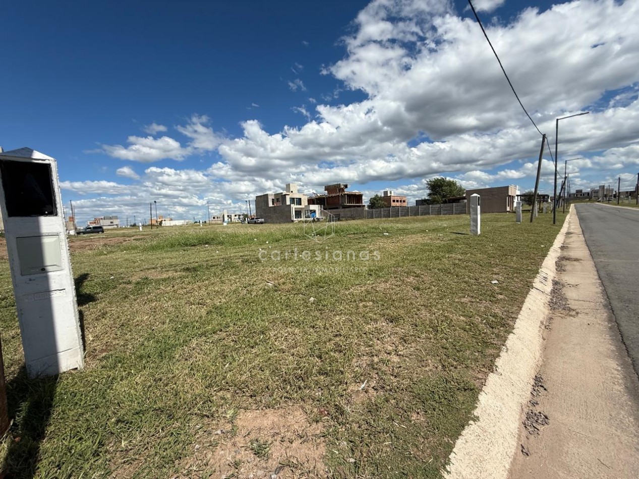 DOCTA AVENIDA 2 | LOTE 360 M2 