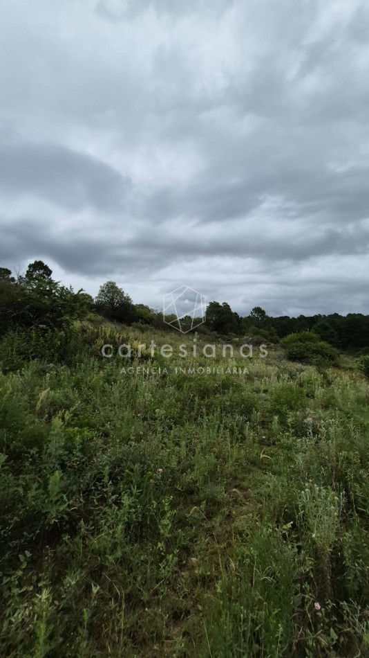 SAN CLEMENTE 9 HECTAREAS C/ SERVICIOS EN VENTA | CORDOBA