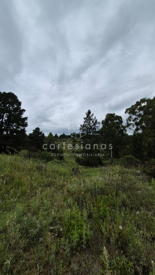 SAN CLEMENTE 9 HECTAREAS C/ SERVICIOS EN VENTA | CORDOBA