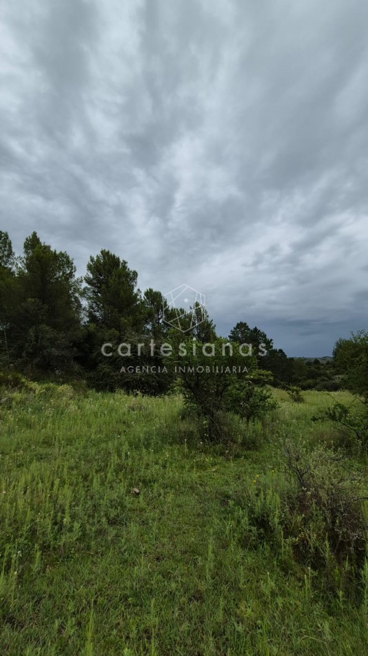 SAN CLEMENTE 9 HECTAREAS C/ SERVICIOS EN VENTA | CORDOBA