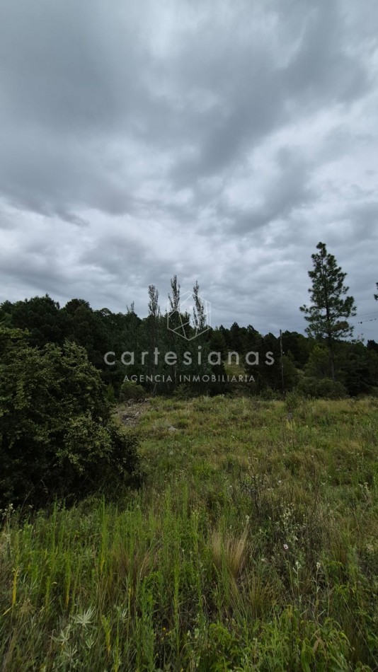 SAN CLEMENTE 9 HECTAREAS C/ SERVICIOS EN VENTA | CORDOBA