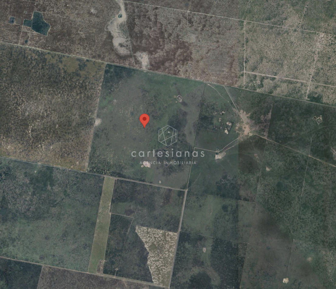 CAMPO AGRICOLA EN VENTA - 430 HECTAREAS PRODUCTIVAS
