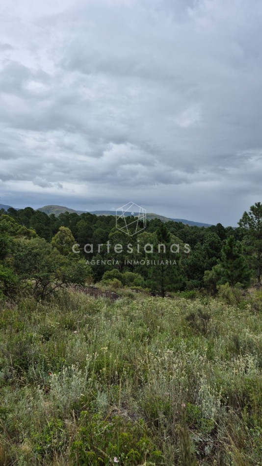 SAN CLEMENTE 9 HECTAREAS C/ SERVICIOS EN VENTA | CORDOBA