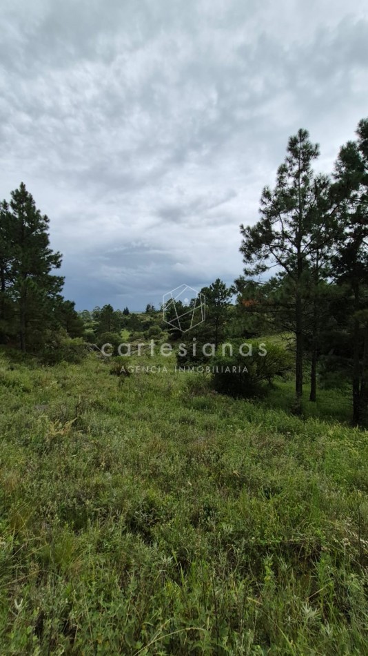 SAN CLEMENTE 9 HECTAREAS C/ SERVICIOS EN VENTA | CORDOBA