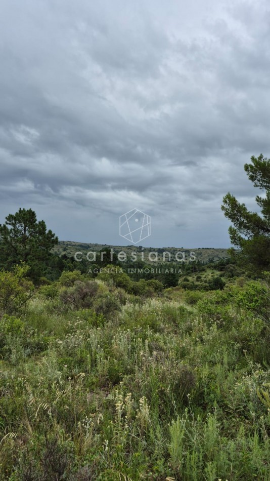 SAN CLEMENTE 9 HECTAREAS C/ SERVICIOS EN VENTA | CORDOBA