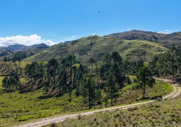 POTRERO DE GARAY- CHACRA