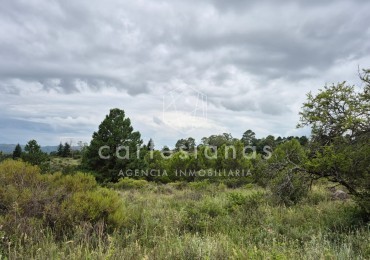 SAN CLEMENTE 9 HECTAREAS C/ SERVICIOS EN VENTA | CORDOBA