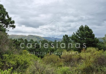 SAN CLEMENTE 9 HECTAREAS C/ SERVICIOS EN VENTA | CORDOBA