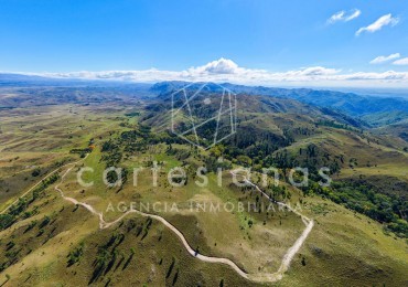 POTRERO DE GARAY | CAMPO DE 80 HECTAREAS + CASA DE 4 DORM+CASA DE SERVICIO+GALPON 