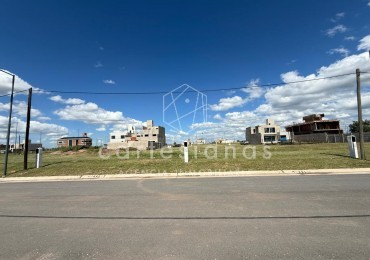 DOCTA AVENIDA 2 | LOTE 360 M2 